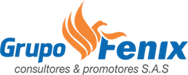 Grupo Fenix Consultores